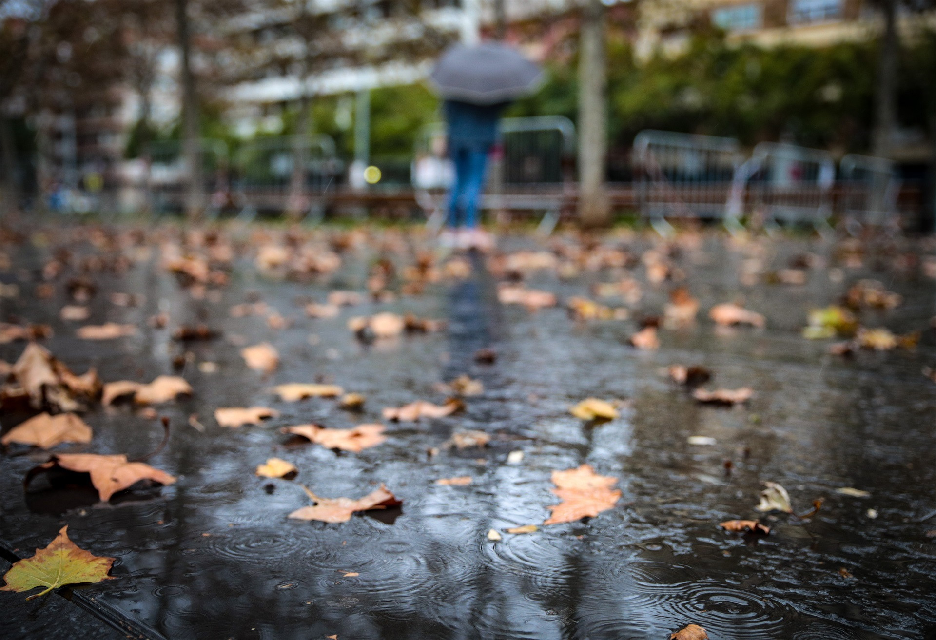 Se Levanta El Confinamiento Por Las Inundaciones En Alcanar