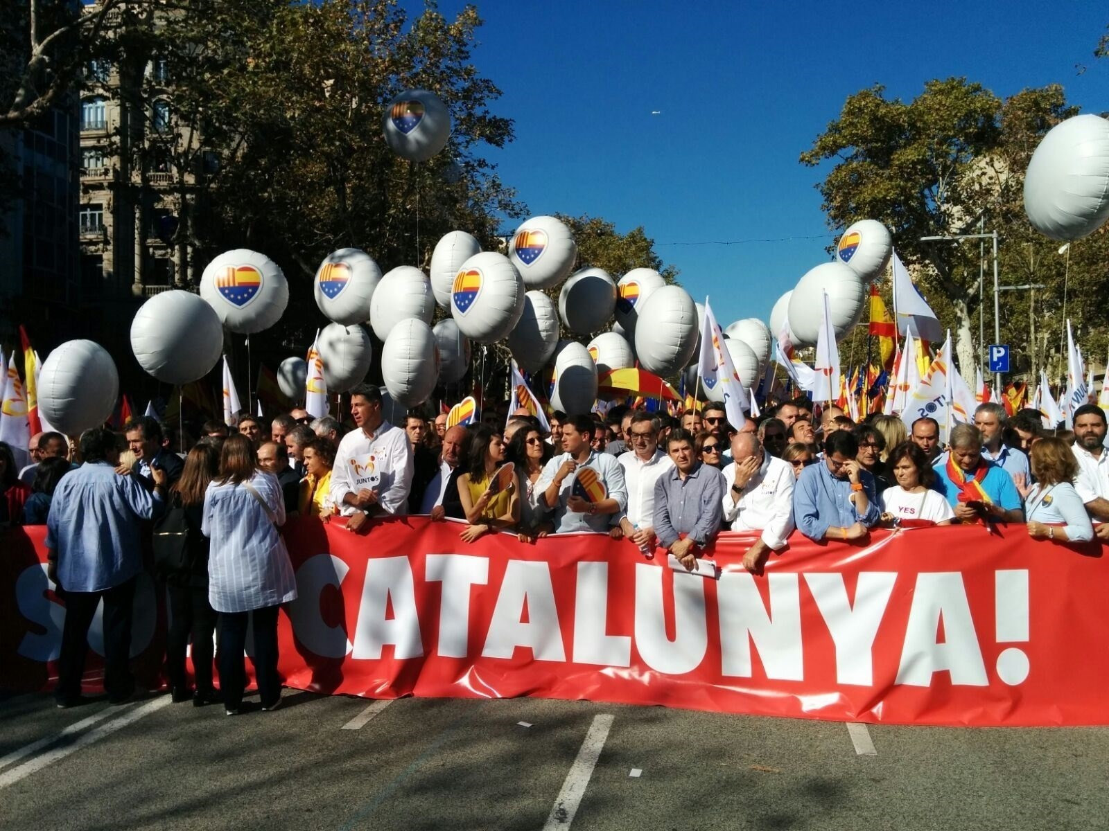 Cabecera manifestacin scc