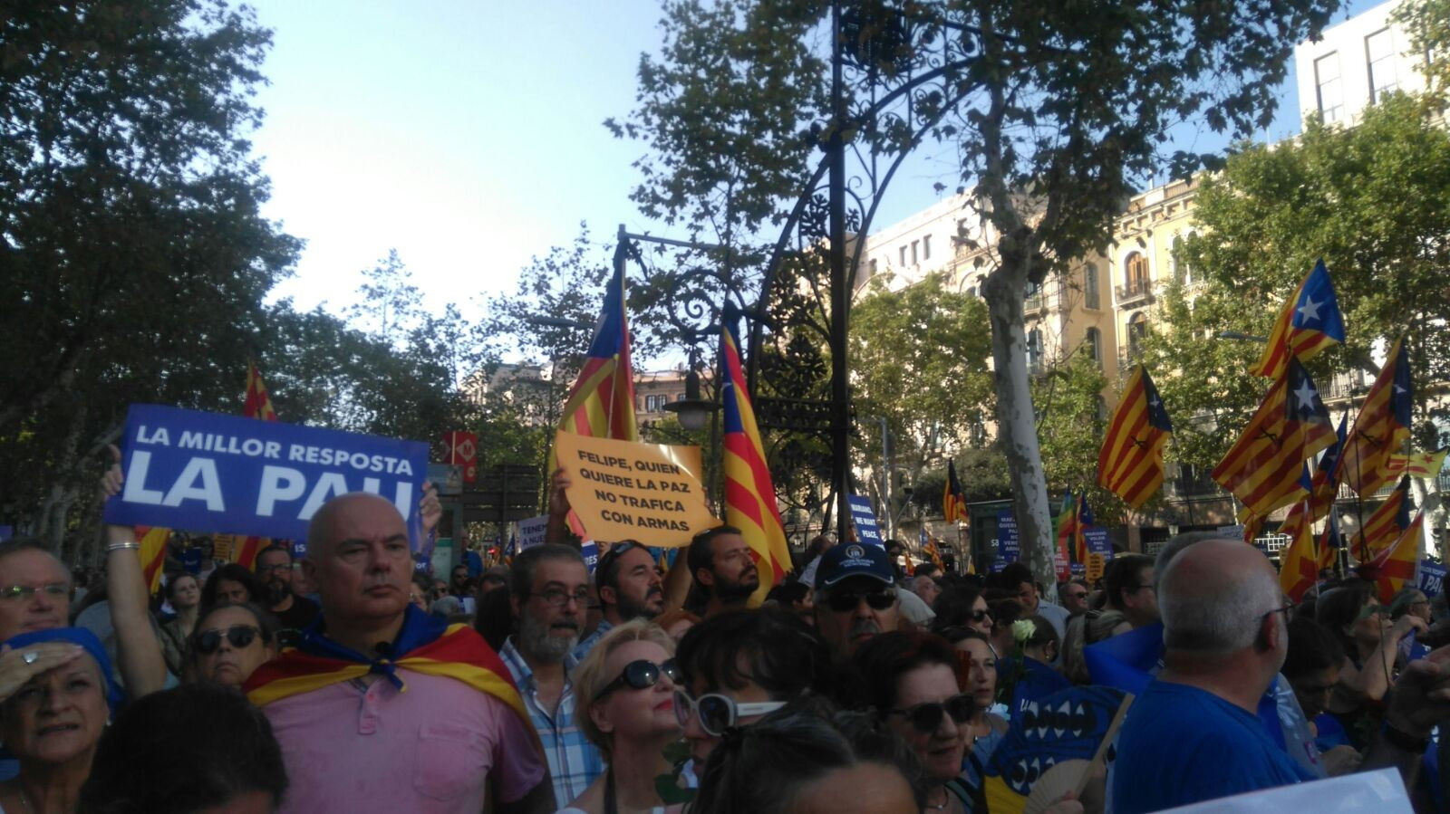 Esteladesmanibcn