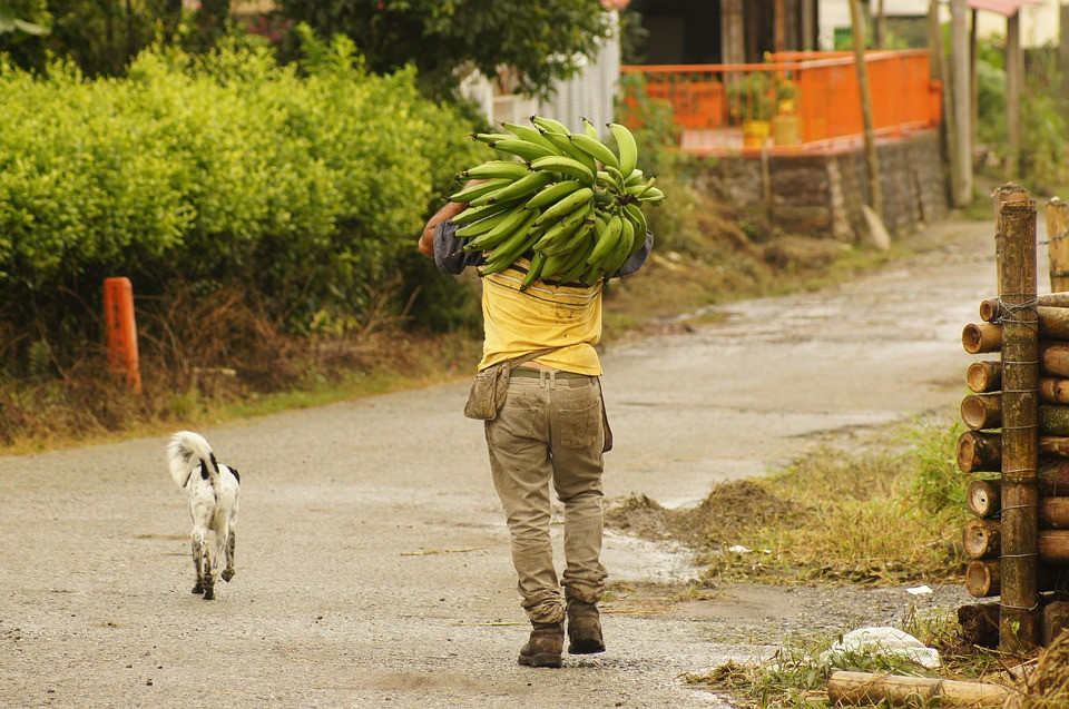 Guatemala campesinos