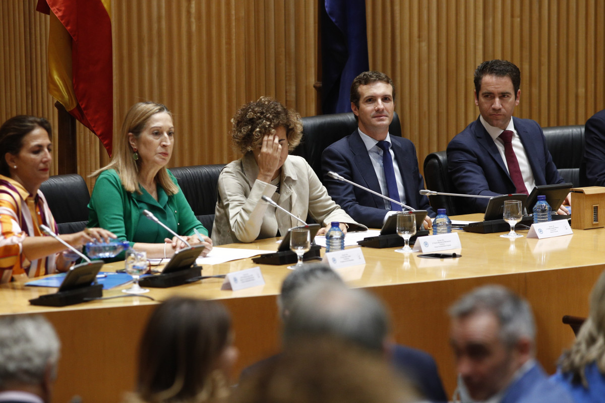 Pablo casado reunión plenaria grupo parlamentario pp