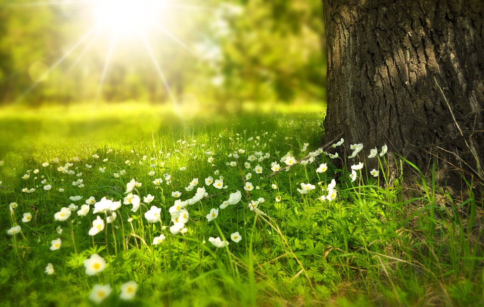 Llega la primavera