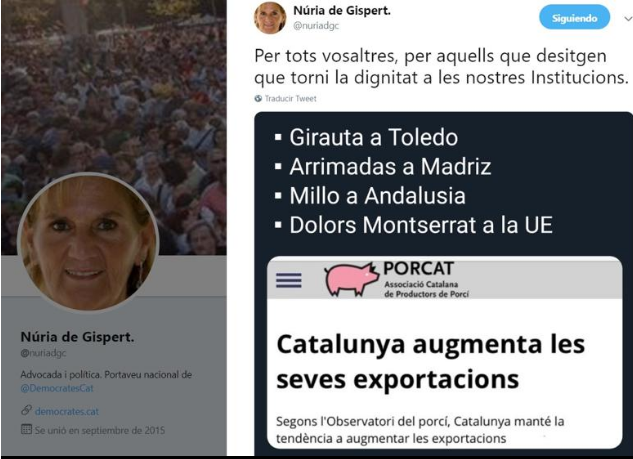 Tuit nuria de gispert