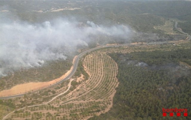 Incendio lleida neumático