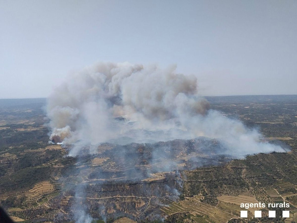 Incendio en Torre de l'Espanyol (Barcelona)