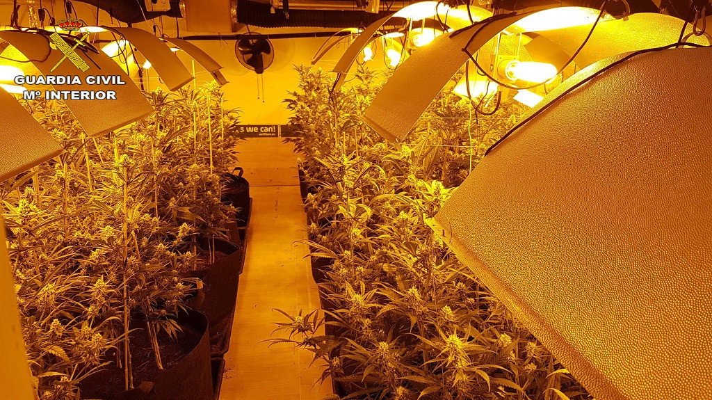 Cae una organización criminal dedicada al cultivo 'indoor' de marihuana en Barcelona