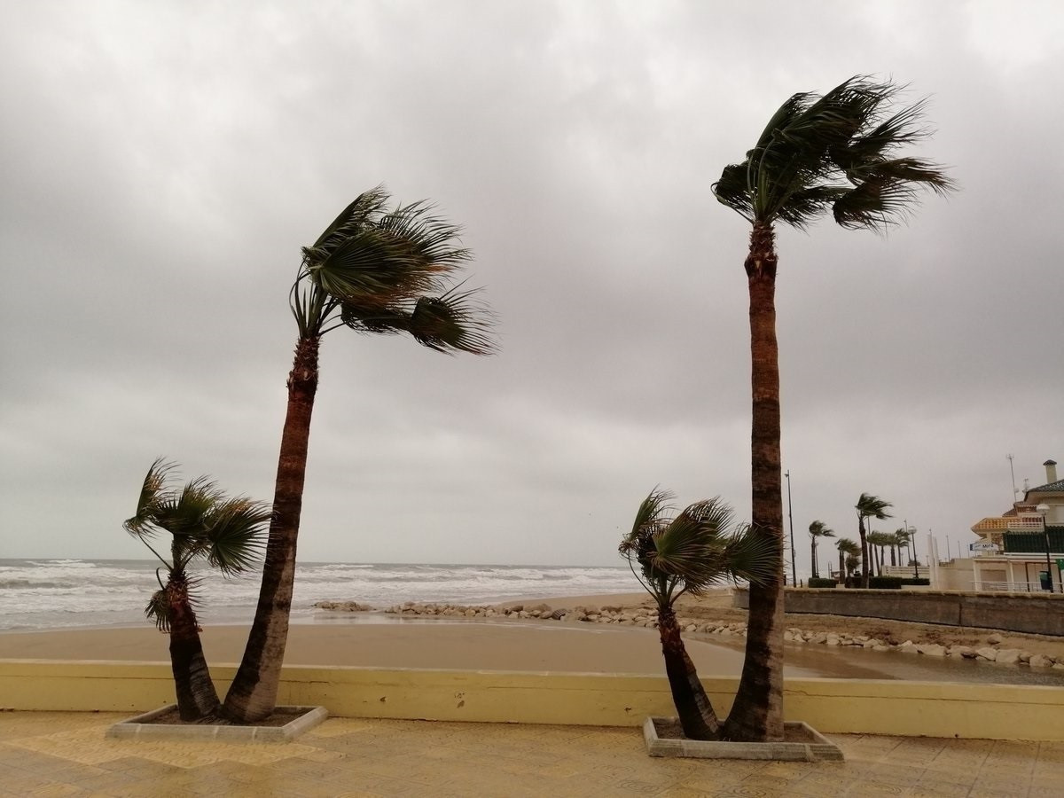 Vientos en el litoral imagen