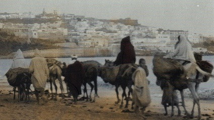 Libros Entre Mogador y Sidi Ifni   copia