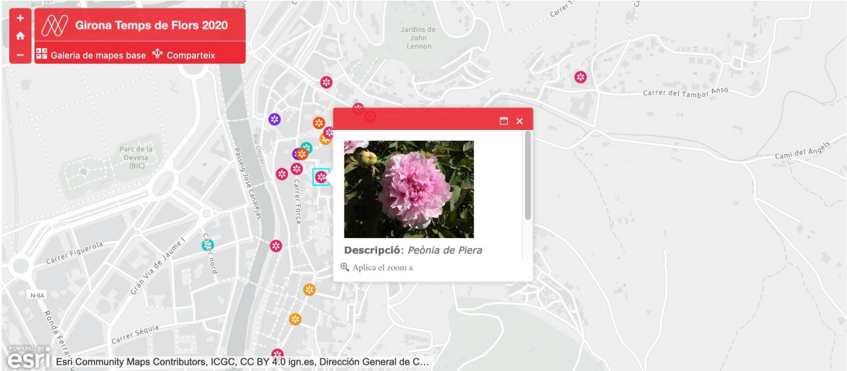 Mapa virtual lanzado para celebrar Temps de Flors durante el coronavirus