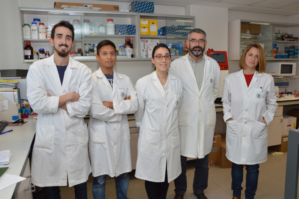 Investigadores de la Fundació Universitat Catòlica de València Sant Vicenç Màrtir