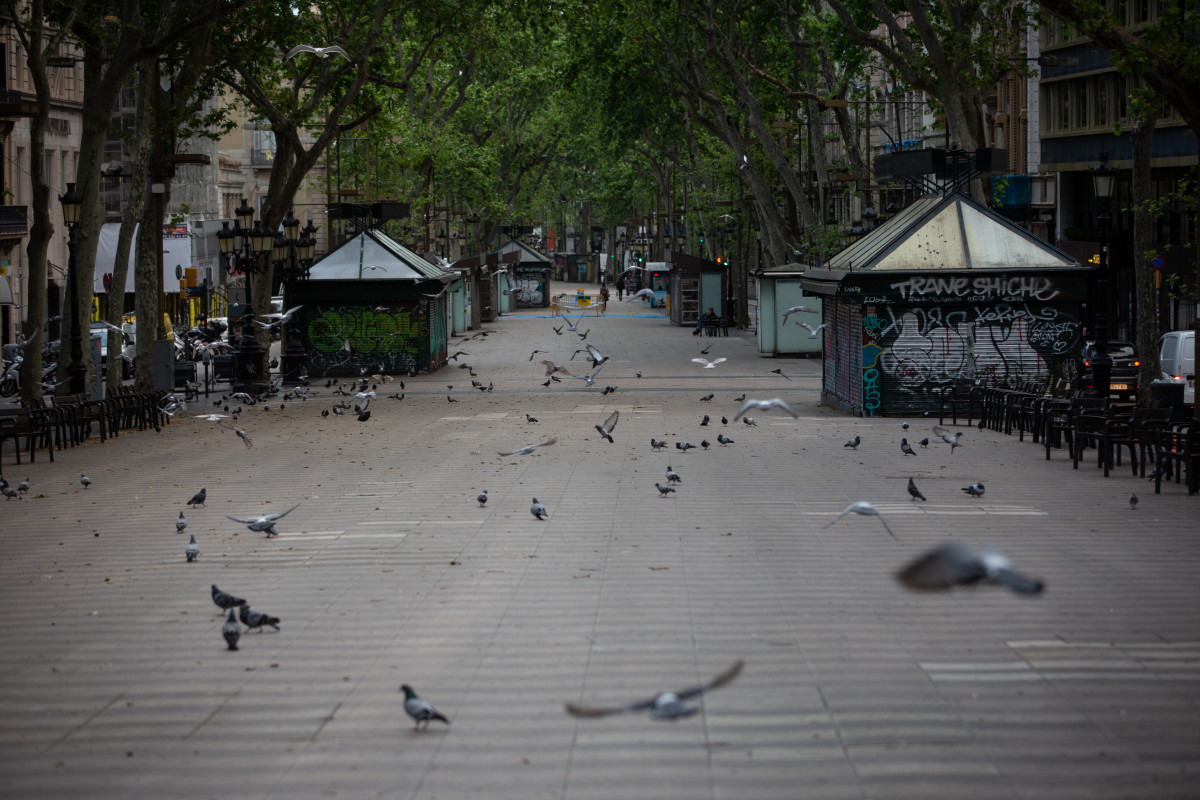 La Rambla de Barcelona amanece vacía un día marcado por la festividad de Sant Jordi, que a diferencia de otros años, este no se puede celebrar con normalidad. Barcelona, Cataluña, (España), a 23 