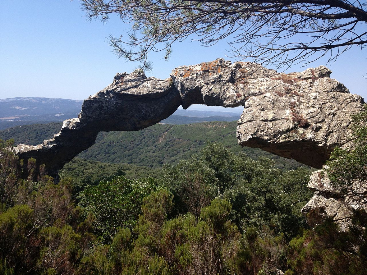 Parque natural de Los Alcornocales