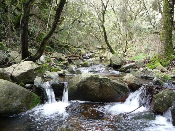 Parc Natural del Montseny