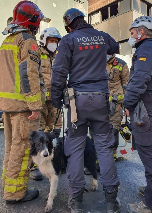 Los Mossos d'Esquadra activan a un perro especializado para que busque a personas en el interior de la nave incendiada en Badalona (Barcelona), el 10 de diciembre de 2020.