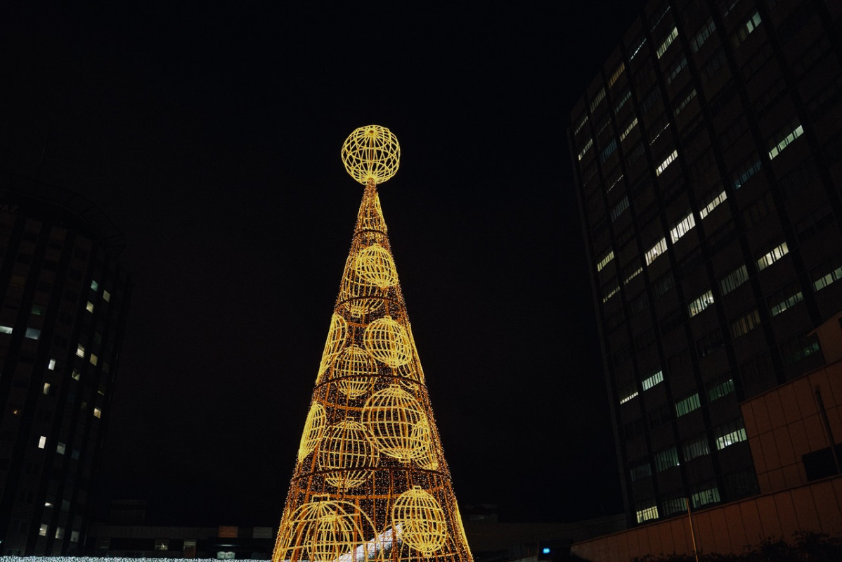 Nota De Prensa El Árbol De La Lotería De Navidad Ilumina El Hospital La Paz De Madrid Como Homenaje A Los Profesionales Sanitarios