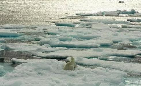 Ecologistas piden una apuesta "real" contra el cambio climático en la Cumbre de París