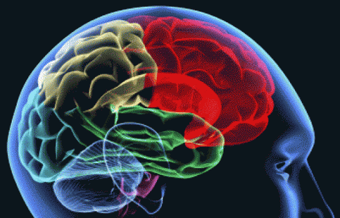 El deterioro cognitivo afecta a entre un 20% y un 35% de los pacientes con esclerosis múltiple