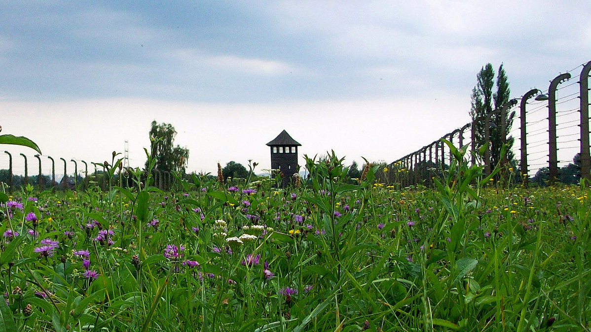 2. Auschwitz II