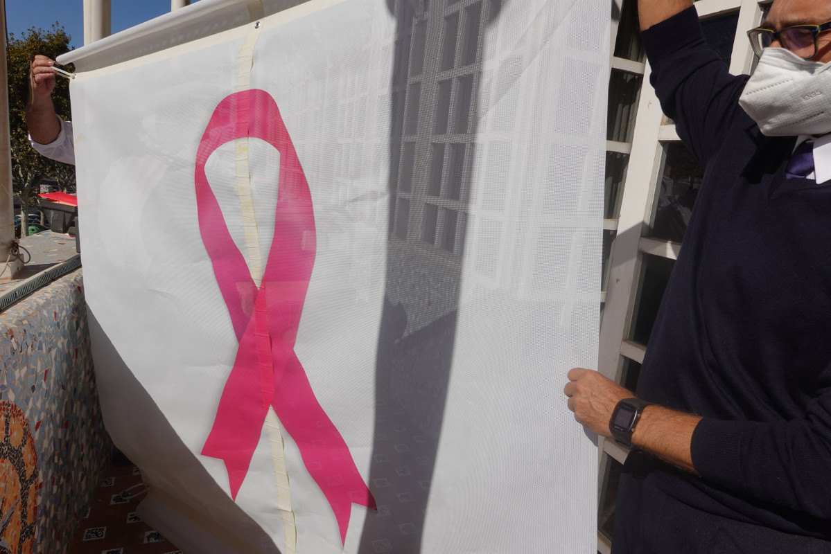 Funcionarios de la Asamblea colocan un gran lazo rosa en la fachada en solidaridad con las personas con cáncer de mama