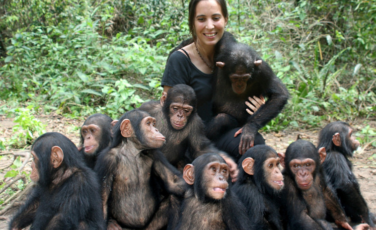 Los humanos dan zancadas más cortas que los chimpancés por la pérdida de sus caderas giratorias