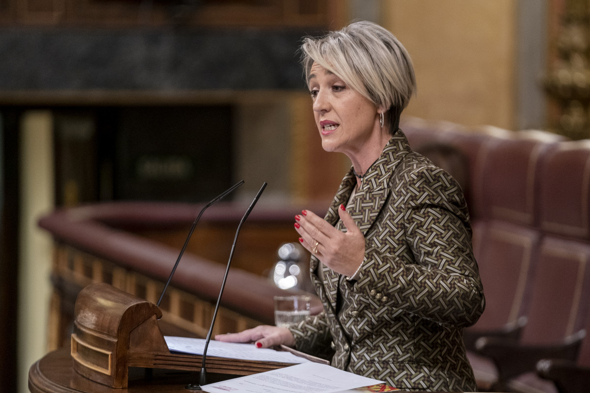 EuropaPress 4122075 diputada vox ines maria canizares interviene sesion plenaria congreso