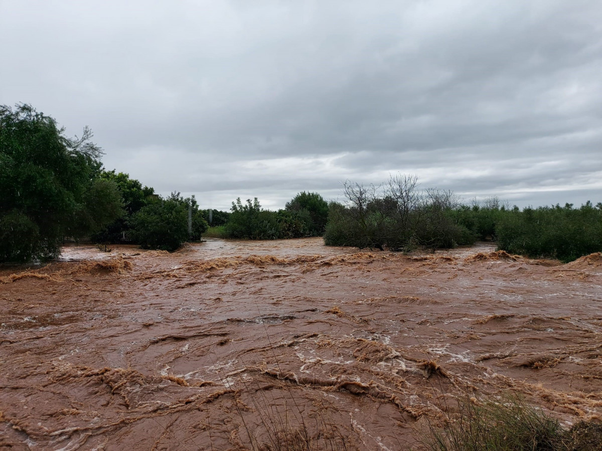 Archivo - Daños de las lluvias en el campo