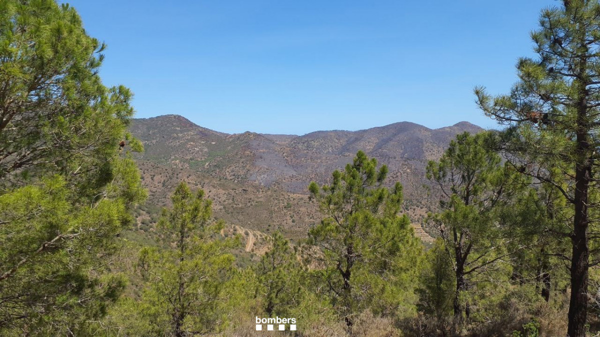 Los Bombers controlan el incendio forestal que quema desde el viernes en Portbou (Girona)