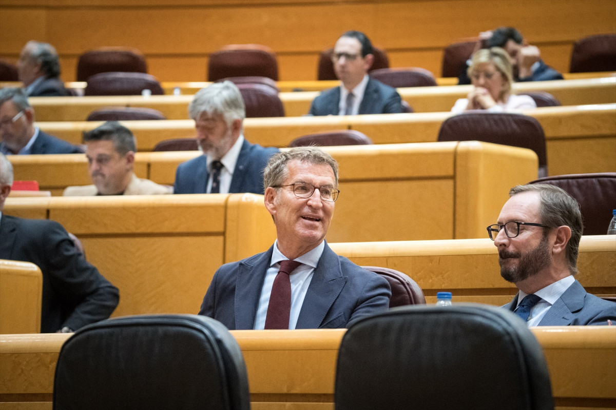 EuropaPress 5205016 presidente pp alberto nunez feijoo portavoz partido popular senado javier