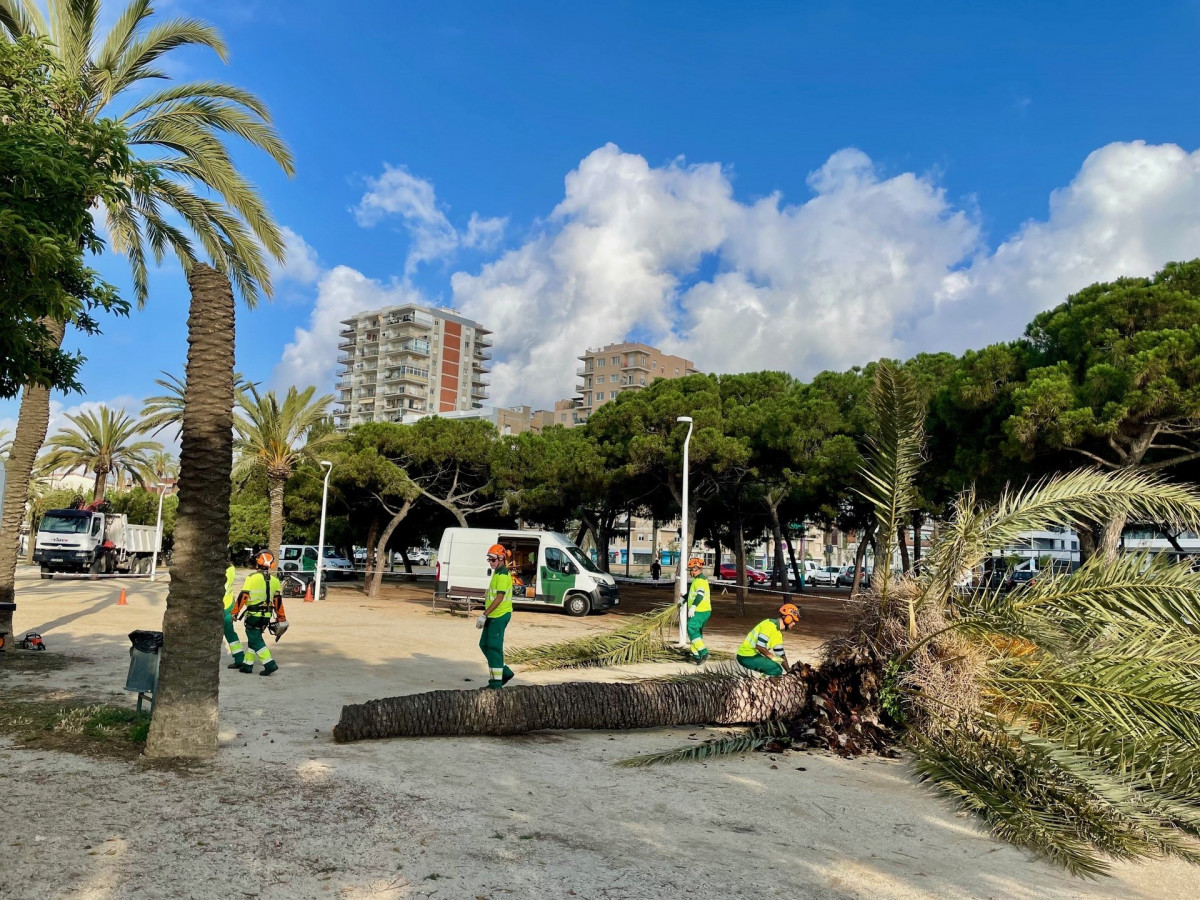 Catalunyapress canvipalmeresmataro