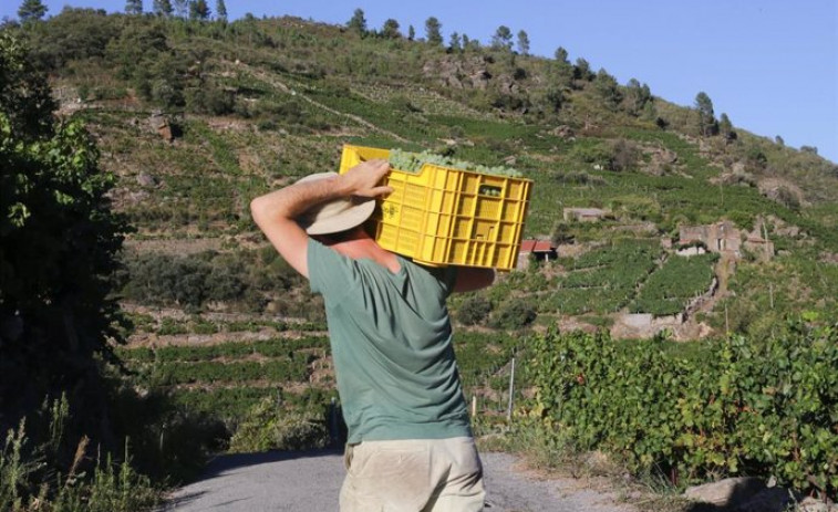 El grito de auxilio de Unió de Pagesos: reclama ayudas para los agricultores afectados por sequía y heladas