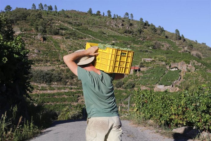 Catalunyapress agricultors12jul24