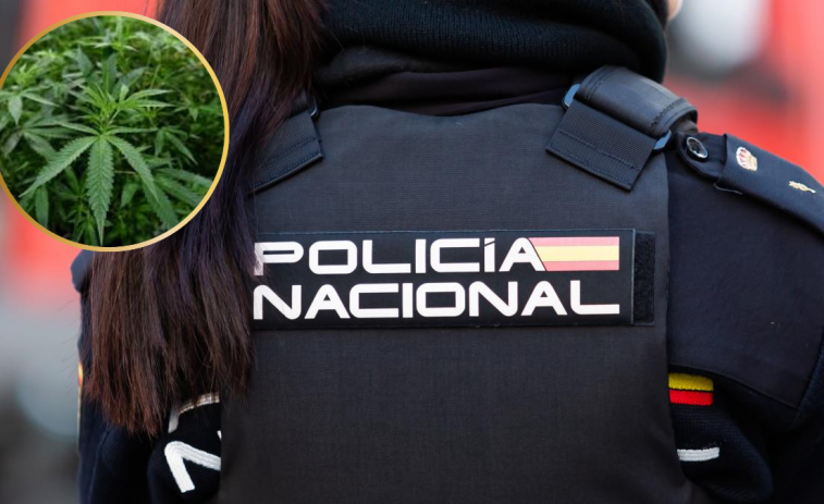 Desmantelada una banda que explotaba a personas obligándolas a trabajar en plantaciones de marihuana