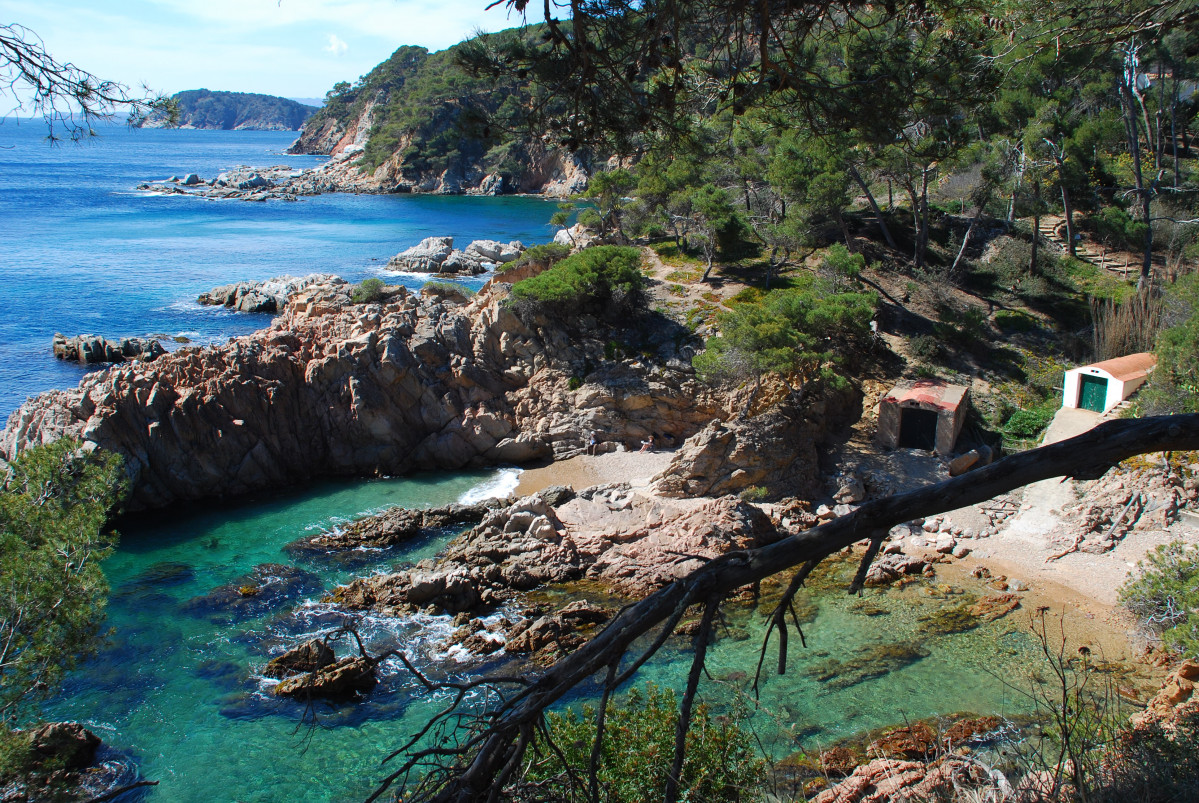 2016 03 CALA CANYERS PALAMOS