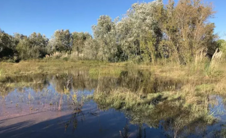 Foment exige la retirada de la ampliación de la protección del Delta del Llobregat