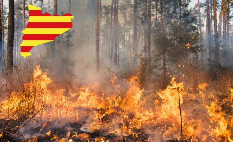 Catalunya afronta un elevado peligro de incendio forestal a partir del martes