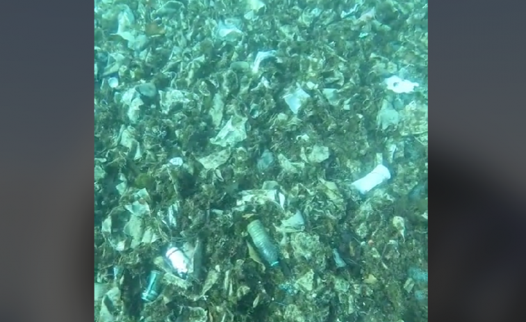 VÍDEO | Se viralizan las imágenes del fondo marino en Badalona: ¡Es un basurero!