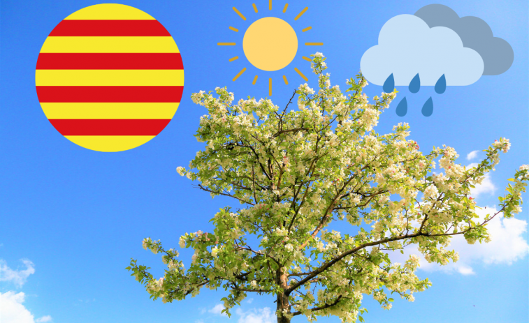 Previsión del tiempo en Catalunya: 6 de agosto, día soleado... con tormentas localizadas