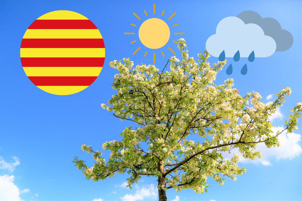 Catalunyapress temps23mai24