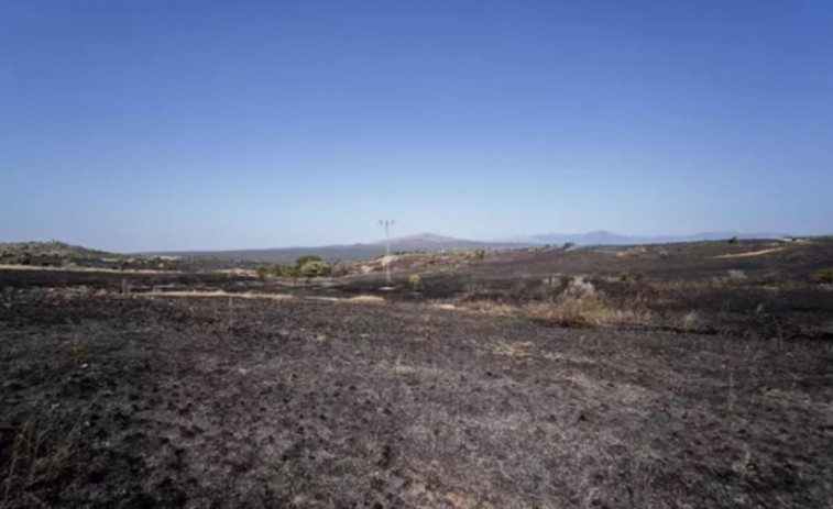 ¿Cuántas hectáreas han quemado los incendios forestales en este 2024?