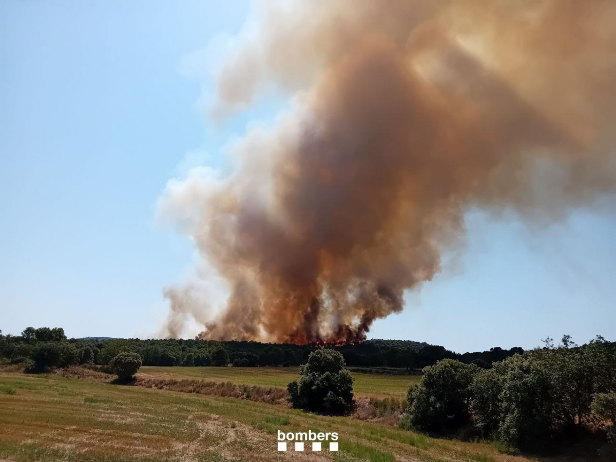 Imatge de l'incendi de vegetació de Vilanova de Meià (Lleida).