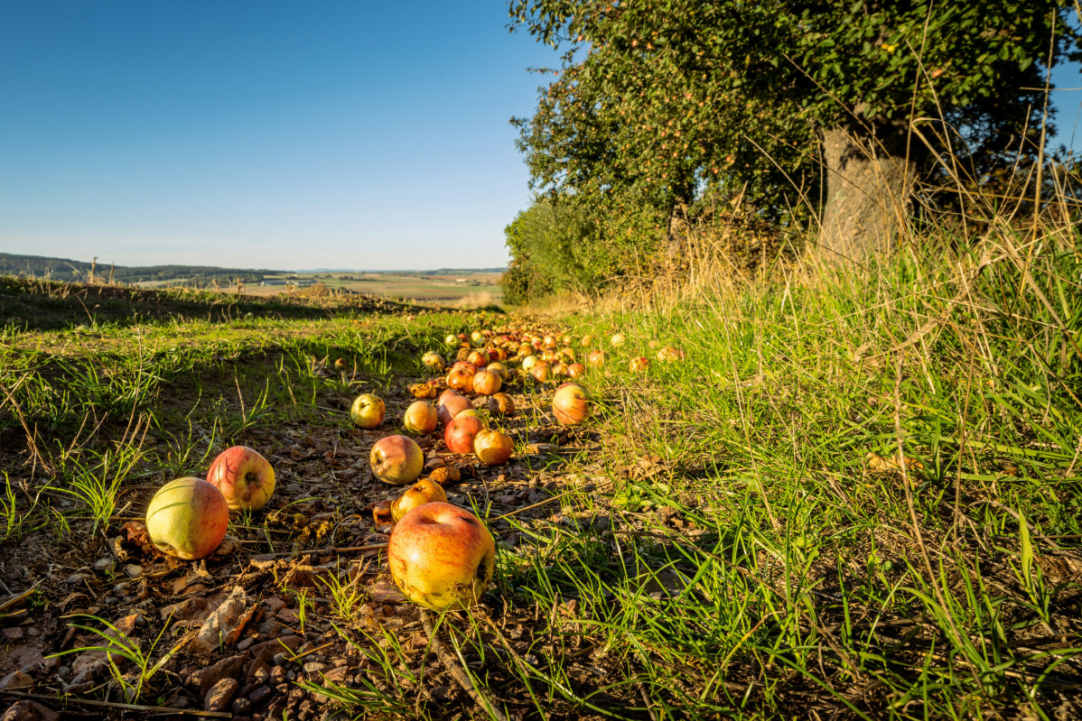 Philipp Z sb l8xVdg unsplash (1)