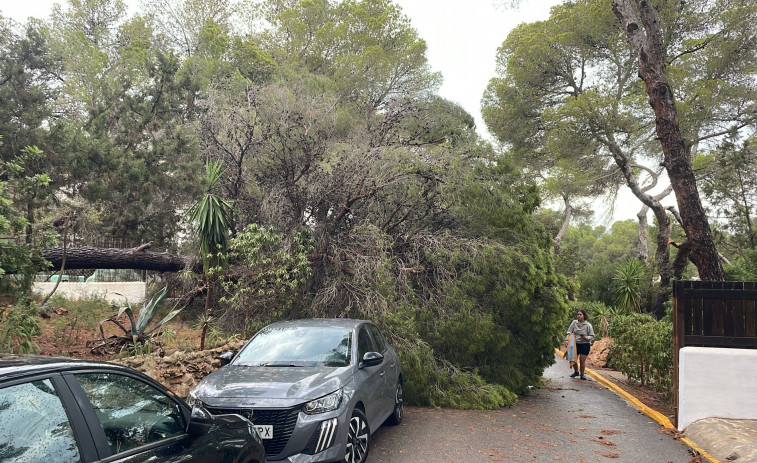 VÍDEO | La DANA arrasa Ibiza con lluvias torrenciales y provocando la caída de árboles