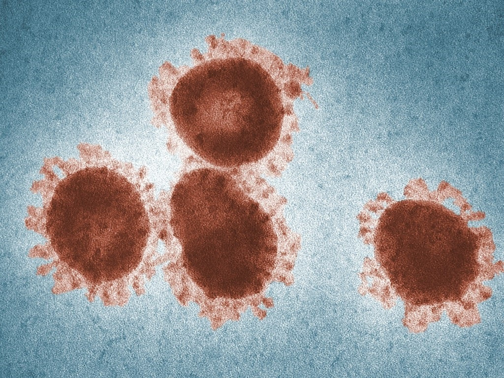 EuropaPress 5270507 virus microscopio