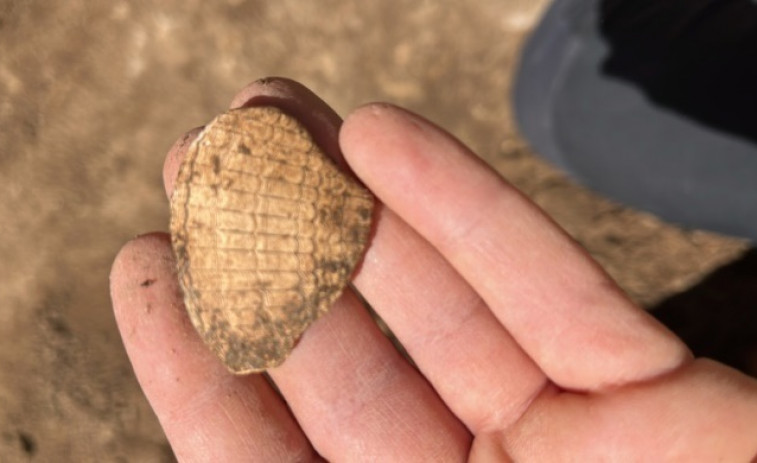 Localizado un yacimiento prehistórico en la montaña de Montjuïc