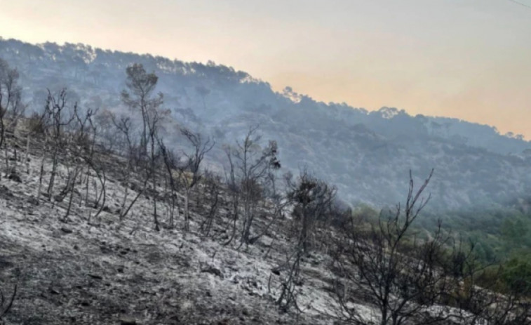 Los Bombers dan por extinguido el fuego de Artesa de Segre