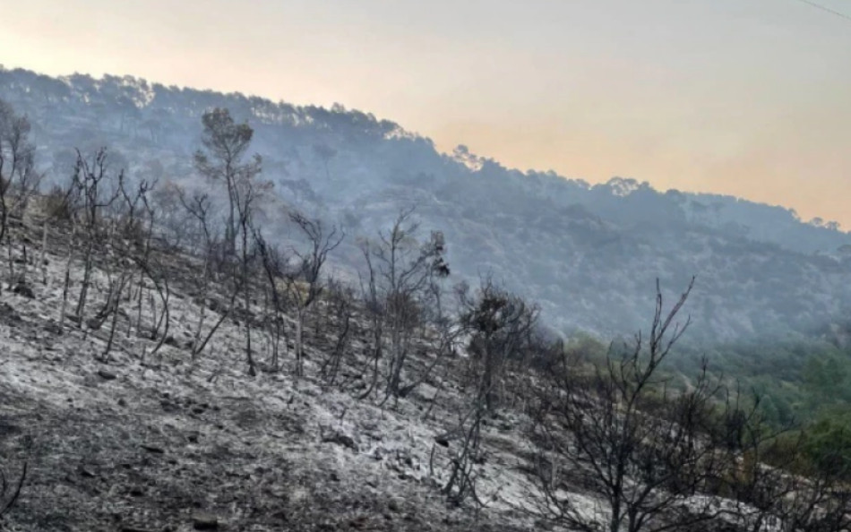 Catalunyapress incendiartesaag24