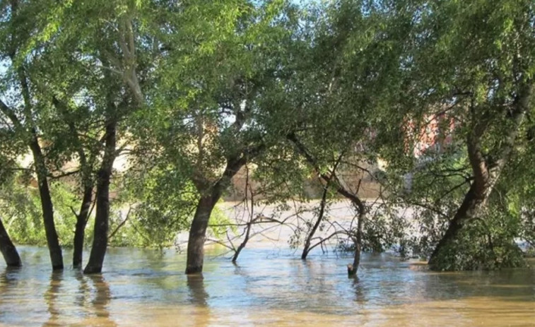 Alertan por la crecida de varios ríos en Catalunya y Aragón