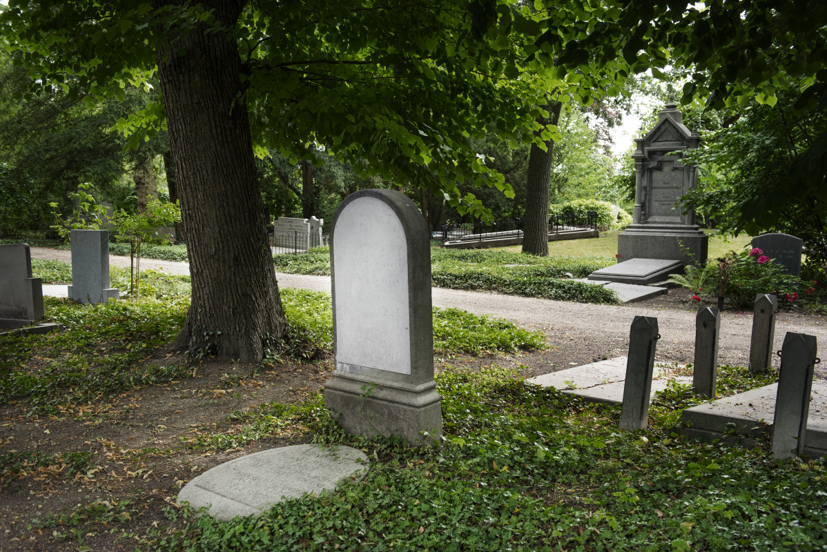 Graveyard background concept