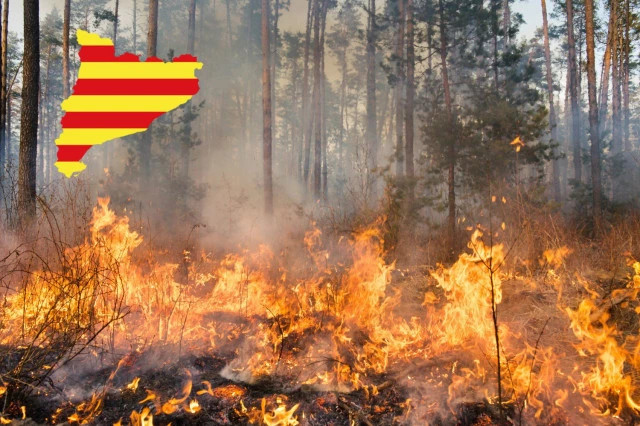 Catalunyapress riscincendi16set24