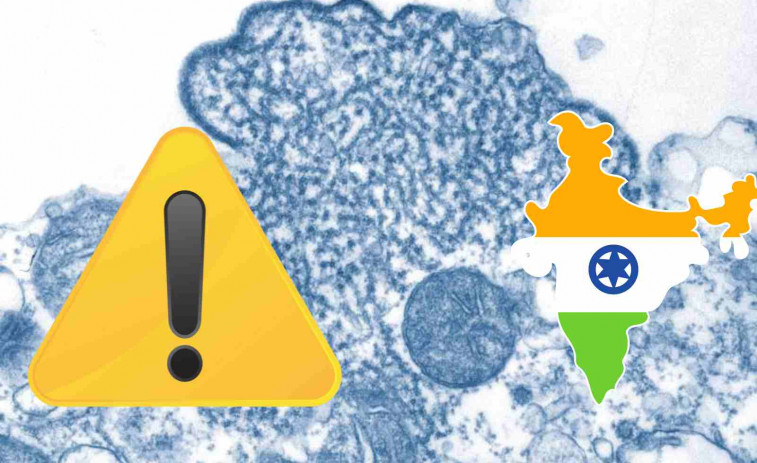 Alerta en India tras dos muertes por un misterioso virus altamente mortal